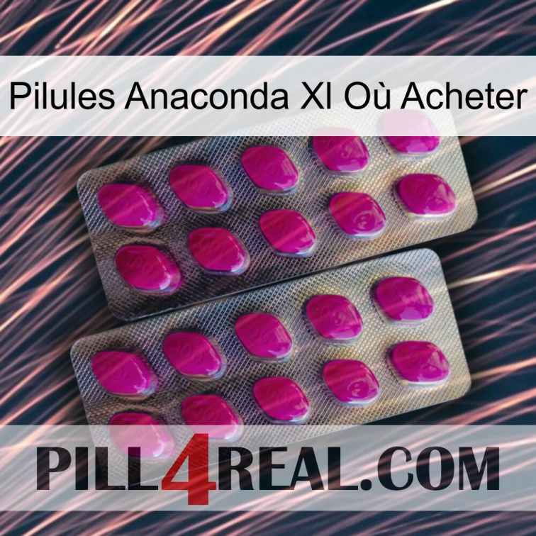 Pilules Anaconda Xl Où Acheter 10